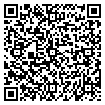 QR 2D 99101001000-G00560