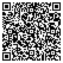 QR 2D ZBOX-CI331/4G/240G/IOT11