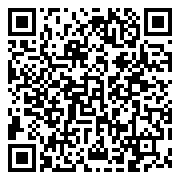 QR 2D EP2-55207