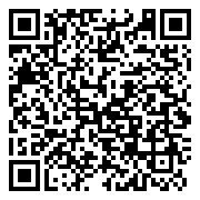 QR 2D ZJQ-00016