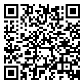 QR 2D DS225+