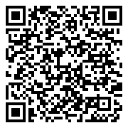 QR 2D ZHQ-00041