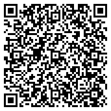 QR 2D 99113102000-300560
