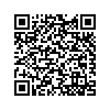QR 2D ICUSBAUDIOB