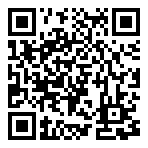 QR 2D ROG RYUO 120