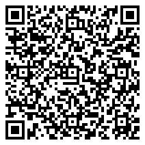 QR 2D EP2-61533