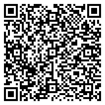 QR 2D N507T3-16D7-176068N