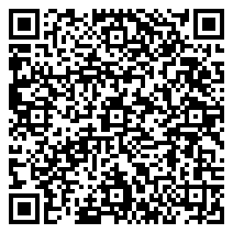 QR 2D LDT13-C024E