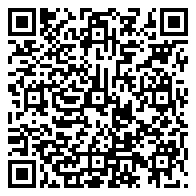 QR 2D EP2-22887