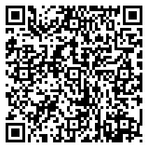 QR 2D SDSQXCD-128G-GN6MA