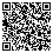 QR 2D SDCS3/256GBCP