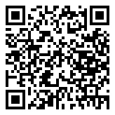 QR 2D EP2-04158