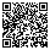 QR 2D P1006134