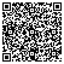 QR 2D 96101102000-000541