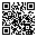 QR 2D MSI PEN 2 BLACK