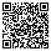 QR 2D MG1502-10241-2100