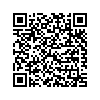 QR 2D 99-33-100033