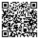 QR 2D 98666