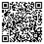 QR 2D PRESTIGE 16 AI+ EVO B2VMG-025AU