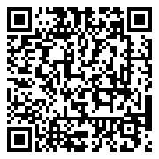 QR 2D EP2-54729