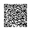 QR 2D DEM-311GT