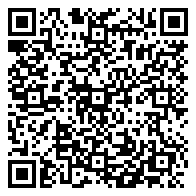 QR 2D F4-3600C18Q2-256GTZN