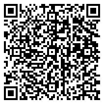 QR 2D BQ4L3PT
