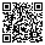 QR 2D V13H010L91