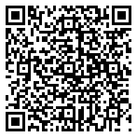 QR 2D BV5L2PT