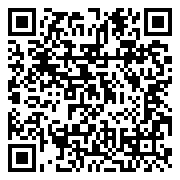 QR 2D 100-300000006