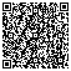 QR 2D USBCAUDIO2