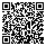 QR 2D BQ4V3PT