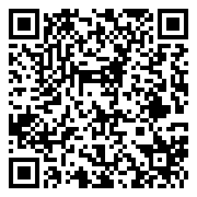 QR 2D C13T787292