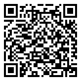 QR 2D EX251