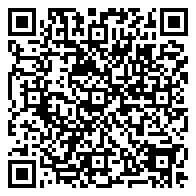 QR 2D BV5L0PT