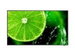 e498 sharp multisync commercial display