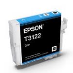 c13t312200 epson hi-gloss2 cyan ultrachrome