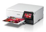 c11cj20501 print colour photo epson