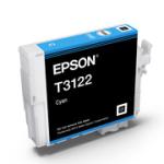 c13t312200 epson hi-gloss2 cyan ultrachrome image 5