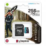 sdcg3/256gb canvas microsd plus card