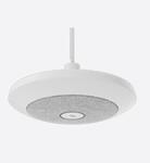 952-000123 mount pendant rally ceiling