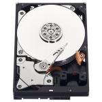 2yrs western digital image 4