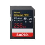 ffcsan256gsdxdm300 card speeds video cards
