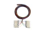 scpt-om3-02-06 pigtail colour serveredge multimode