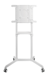 ttv11-46tw-wh vesa interactive column mobile