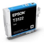 c13t312200 epson hi-gloss2 cyan ultrachrome image 2