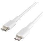 cable white belkin