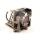 glh-254 (tdp-f1) yodn lamp toshiba tdp-f1 months