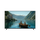 fwd100xr30m2 sony bravia google every bright
