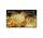 fwd55x90l bravia sony x90l premium 3840